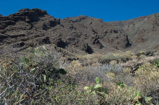 Timijiraque Protected Landscape. Valverde. El Hierro. Canary Islands. Spain.