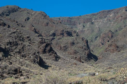 Landscape and horse (Equus ferus caballus). Timijiraque Protected Landscape. Valverde. El Hierro. Canary Islands. Spain.