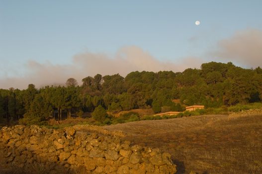 Rural landscape at dawn. Valverde. El Hierro. Canary Islands. Spain.