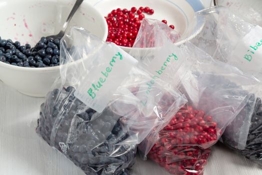 Berries laid out on a bags and prepared for freezing and storage.