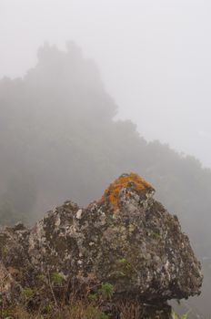 Rock in the fog. Valverde. El Hierro. Canary Islands. Spain.