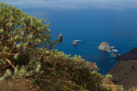 Salmor Rocks. Integral Natural Reserve of Salmor Rocks. El Hierro. Canary Islands. Spain.