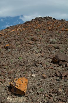 Lichens covering the rocks. Jandia. Fuerteventura. Canary Islands. Spain.