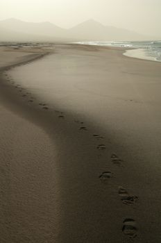 Footsteps. Jandia Natural Park. Fuerteventura. Canary Islands. Spain.
