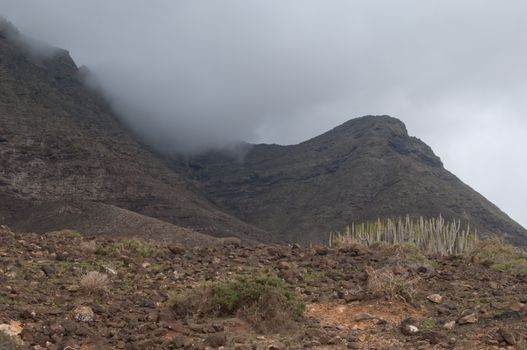 Jandia. Fuerteventura. Canary Islands. Spain.