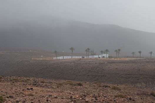 Jandia peninsula. Pajara. Fuerteventura. Canary Islands. Spain.