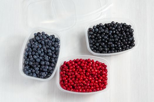 Berries laid out in containers and prepared for freezing and storage, top view.