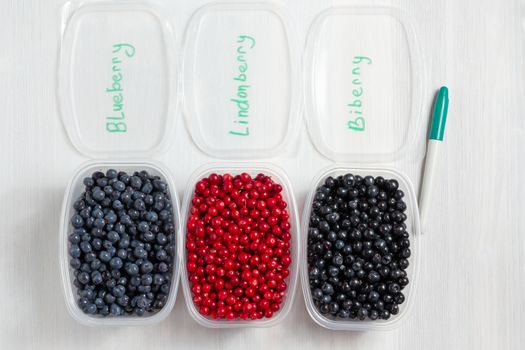 Berries laid out in containers, signed with a marker and prepared for freezing and storage, top view.