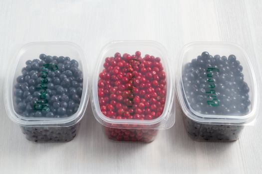 Berries laid out in containers and prepared for freezing and storage.