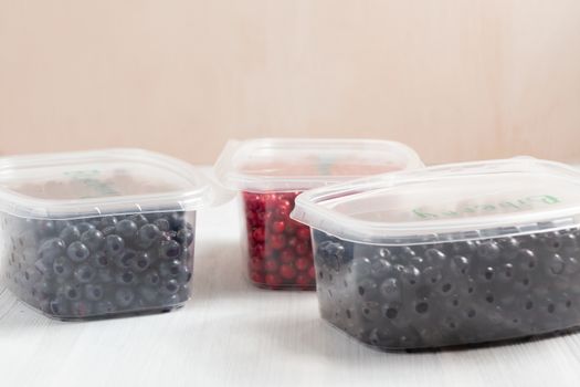 Berries laid out in containers and prepared for freezing and storage.