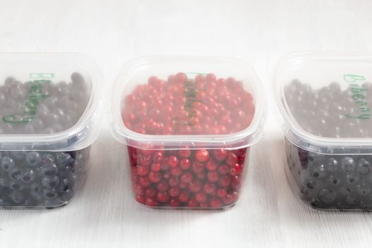 Berries laid out in containers and prepared for freezing and storage.