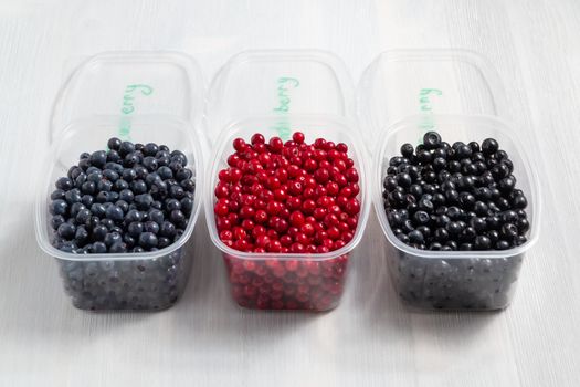 Berries laid out in containers, signed with a marker and prepared for freezing and storage.