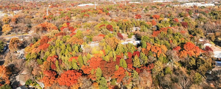 Panorama aerial view suburb Dallas in fall season fall foliage, bright orange color. Residential houses covered by lush tree canopy colorful autumn leaves, park with trail, pathway and power line