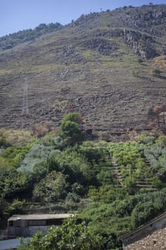 Hills and vegetation typical of the Sicilian hinterland of the northern part of the island