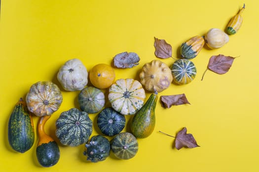 Some small pumpkins on a yellow surface
