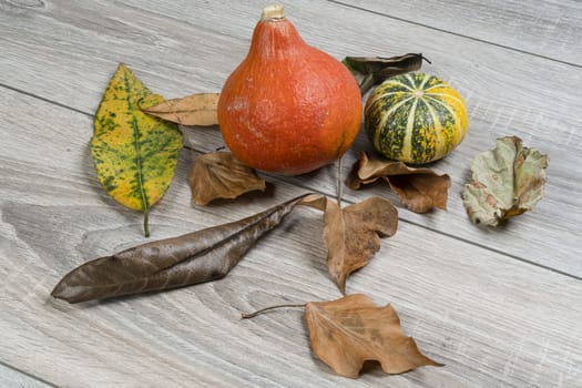 Some small pumpkins on a wooden table in the autumn with some leaves