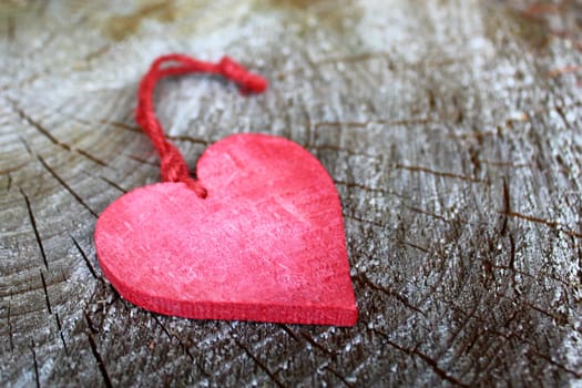 The picture shows a red heart on a tree.