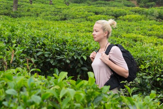 Active caucasian blonde woman enjoing fresh air and pristine nature while tracking among tea plantaitons near Ella, Sri Lanka. Bacpecking outdoors tourist adventure.