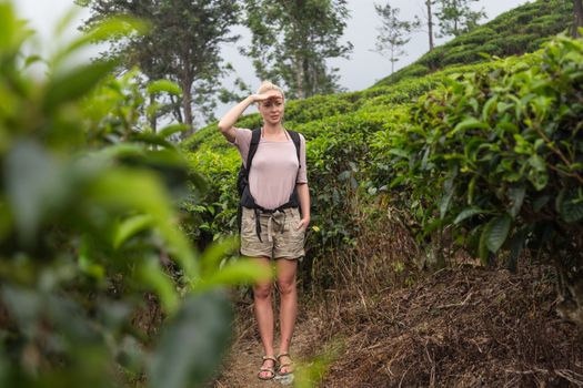 Active caucasian blonde woman enjoing fresh air and pristine nature while tracking among tea plantaitons near Ella, Sri Lanka. Bacpecking outdoors tourist adventure.
