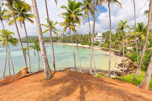 Tropical beach with exotic palm trees and wooden boats on the sand in Mirissa, Sri Lanka.