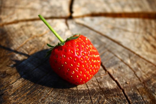 The picture shows a strawberry on a weathered tree trunk.