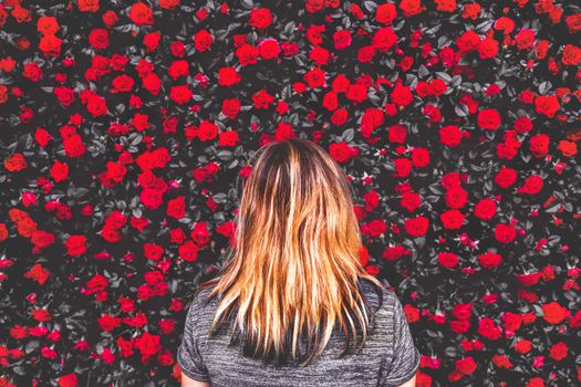 woman among red roses background .