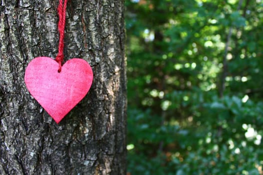 The picture shows red heart on a tree.