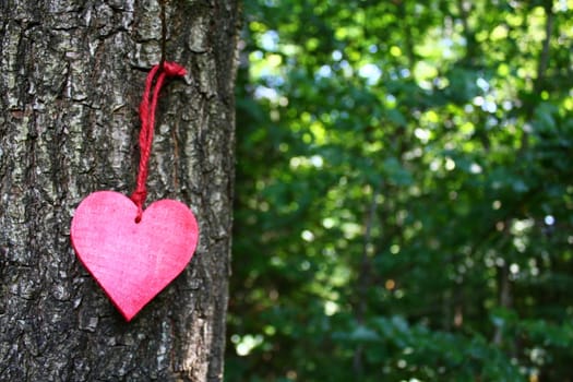 The picture shows a red heart on a tree.