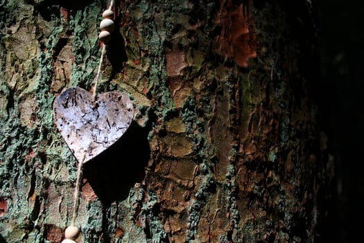 The picture shows a heart on a tree.