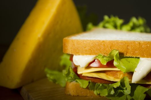 Bright juicy sandwich with herbs and tomatoes on a cutting board