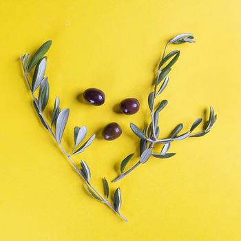 Olive oil and olives on a yellow surface with some Olive branches