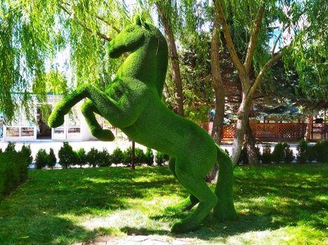 A sculpture of a horse standing on its hind legs in the Park on a background of trees.