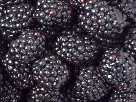 Ripe fresh blackberries as background. Close up view.