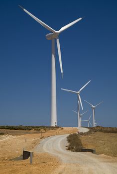 wind turbines farm. alternative energy source