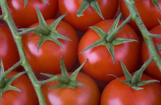 red cherry tomatoes on the vine