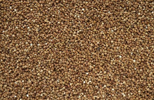 toasted buckwheat ("groats" or grains), a whole grain, as background