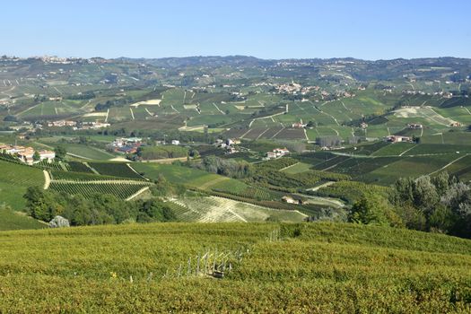 Langhe vineyards panorama; Langhe are famous for Italian wine producetion, in Piedmont.