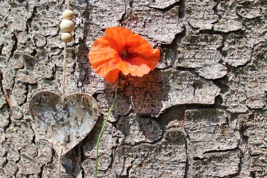 The picture shows a poppy and a heart.