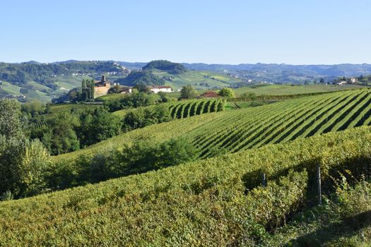 Langhe vineyards panorama; Langhe are famous for Italian wine production, in Piedmont.