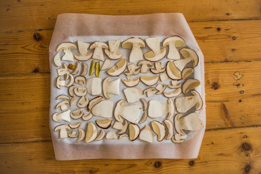 Drying mushrooms on the baking tray, dry mushrooms