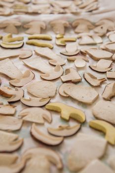 Sliced mushrooms on white background close-up, top view. Food background