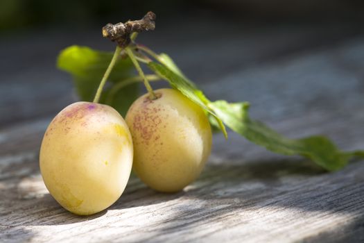  two ripe yellow plums on a wooden table, close-up image