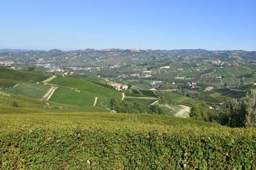 Langhe are famous for Italian wine production, in Piedmont.