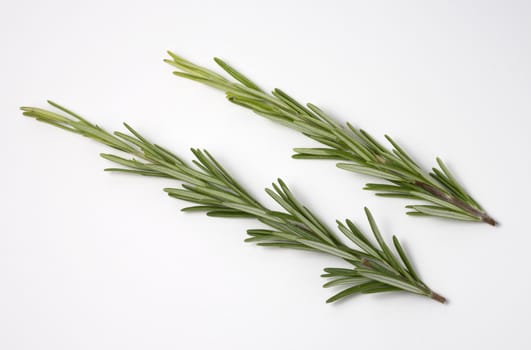 Fresh raw branches of rosemary on white background. Top view.