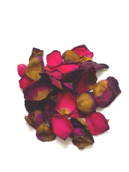 the petals of dark pink rose