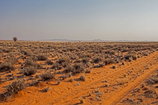 A sandy track in the Kalahari Desert near the Namibian hot spring resort of Ai Ais.