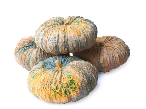 Group of pumpkin isolated on white background, clipping path.