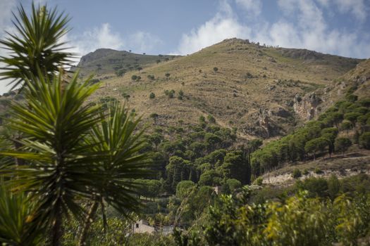 Monreale hills: detail of a hill vith vegetation in Monreale, Sicily