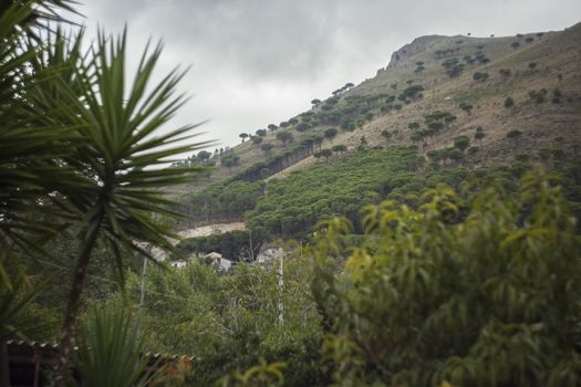 Monreale hills: detail of a hill vith vegetation in Monreale, Sicily