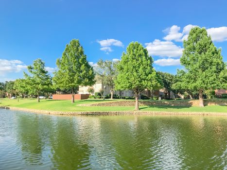 Beautiful waterfront house with row of mature bold cypress trees in suburbs Dallas, Texas, USA. Suburban single family detached home along river with high stone retaining wall, green grass lawn
